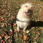 Janey Brubaker - @janeygoestocollege - Instagram