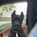 Janette Bruner - Facebook