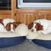 Janet Bruns - Facebook