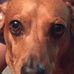 Janet Brunson - Facebook