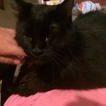 Janetbumgarner - @janetbumgarner6 - Instagram