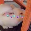 Janet🦋Bunny🦋 - @janet_bunnys - TikTok