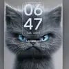 janetbusta🩵 - @janetbunnyprincess - TikTok
