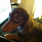 Janet burdick - @janetb6599 - Instagram