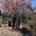Janet Burdick - Facebook