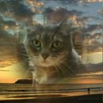 Janet Burgett - @jrburgett - Instagram