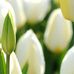 Janet Burgin - Facebook