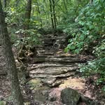 Janet Kenney-Burks - @jekb79 - Instagram