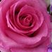 Janet Burnside - Facebook