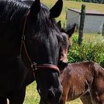 Janet Mather Burris - @janetburris1 - Instagram