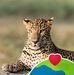 Janet Burrows - Facebook