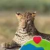 Janet Burrows - @janet.burrows - TikTok