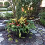 Janet Butts - @reallifegardensolutions - Instagram