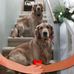 Janet Butts - Facebook