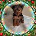 Janet Call - Facebook