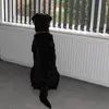 Janet Canning958 - @janetcanning1 - TikTok