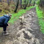 Janet Cantor - @janet.cantor - Instagram