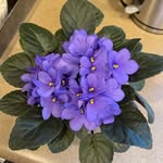Janet Cantrell Wooten - @janetlwooten - Instagram