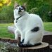 Janet Carter - Facebook
