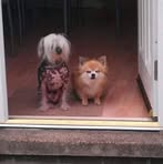 Janet Carty - Facebook