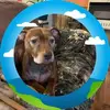 Janette McCarty - @janettemccarty - TikTok