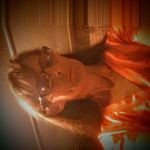 Janet Cates - @janet.cates.752 - Instagram