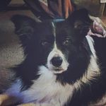 Janet Caudill - @caudilljanet - Instagram
