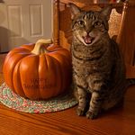 Janet Caudill Paschal - @kyjan59 - Instagram