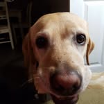 janet caulfield - @caulfield741 - Instagram