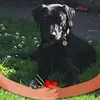 Jenny Caulfield - @jenny.caulfield - TikTok