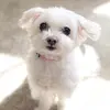 Janet-chance - @janet199733 - TikTok