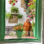 Janet Cheetham - @janetcheethamart - Instagram