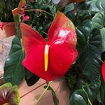 Janet Clawson-lagarde - @clawsonlagarde - Instagram