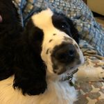 Janet Clegg - @clegg9670 - Instagram