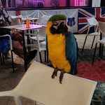 Janet Mitchell - @janet.clegg.39 - Instagram