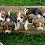 @janet.cloud50 - Instagram