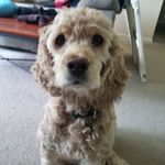janet cloyd - @janc4760 - Instagram