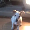 Janet Coates - @janet.coates6 - TikTok