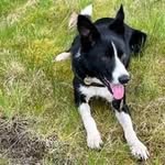 Janet Coates - @janetcoates36 - Instagram