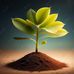 Janet Coe - Facebook