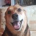 Janet Coe - Facebook