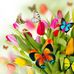 Janet Coe - Facebook