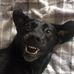 Janet Coe - Facebook