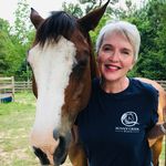 Janet Coe - @janetcoe - Instagram