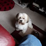janet colby - @colbyjanet - Instagram