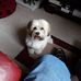 Janet Colby - Facebook