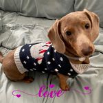 Janet Colby - @mamaj1956 - Instagram