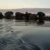 Janet McCollum - @janet.mccollum42 - TikTok