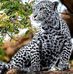Janet Conde - Facebook