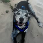 Janet Conner - @janetconner61 - Instagram